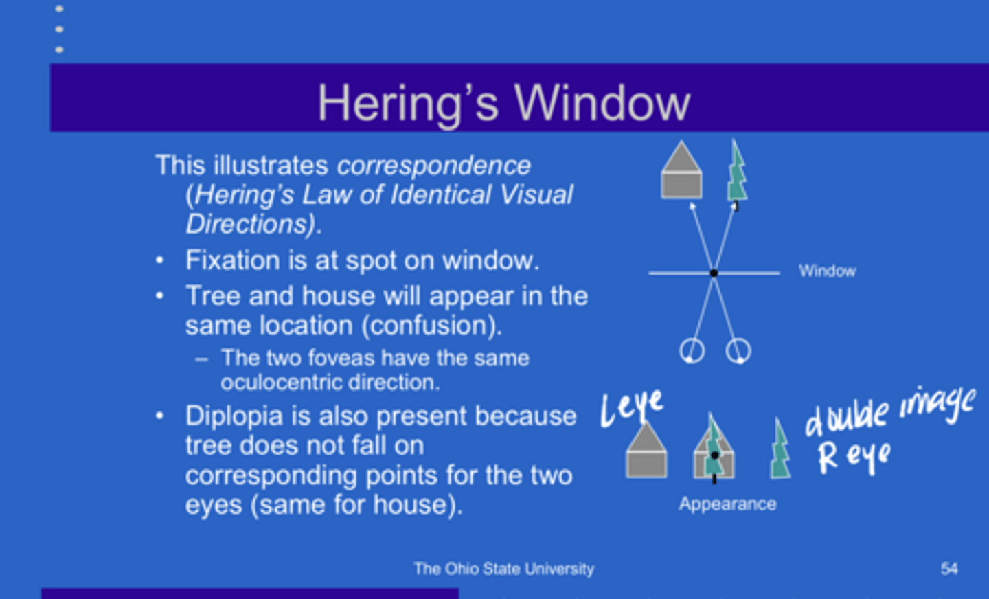 <p>_____ is present in Hering's window because the tree DOES NOT fall on corresponding points for the two eyes</p>