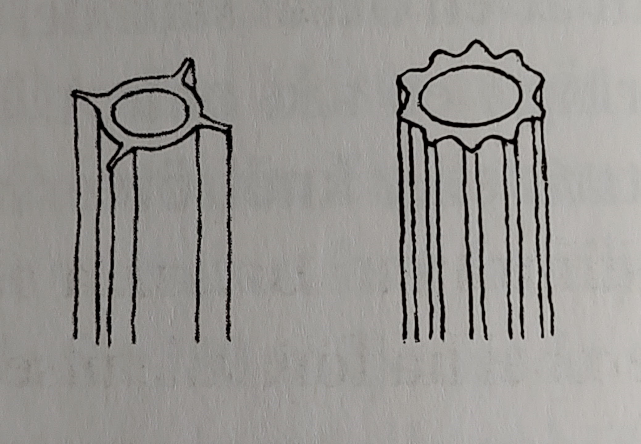 <p></p>