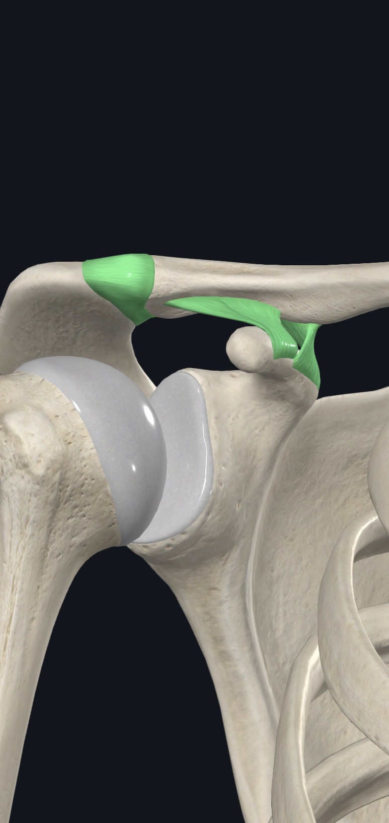 <p>what is this?</p>