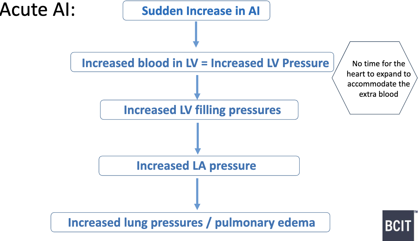 <p>if severe enough → medical emergency &amp; immediate valve replacement needed </p>