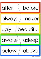 <p>Words with opposite meanings.</p>