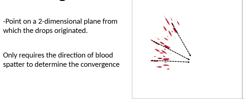 <p>2D point where blood drops originated</p>