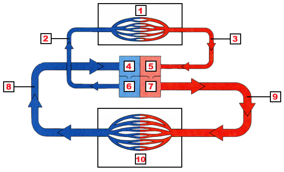 <p>1</p>