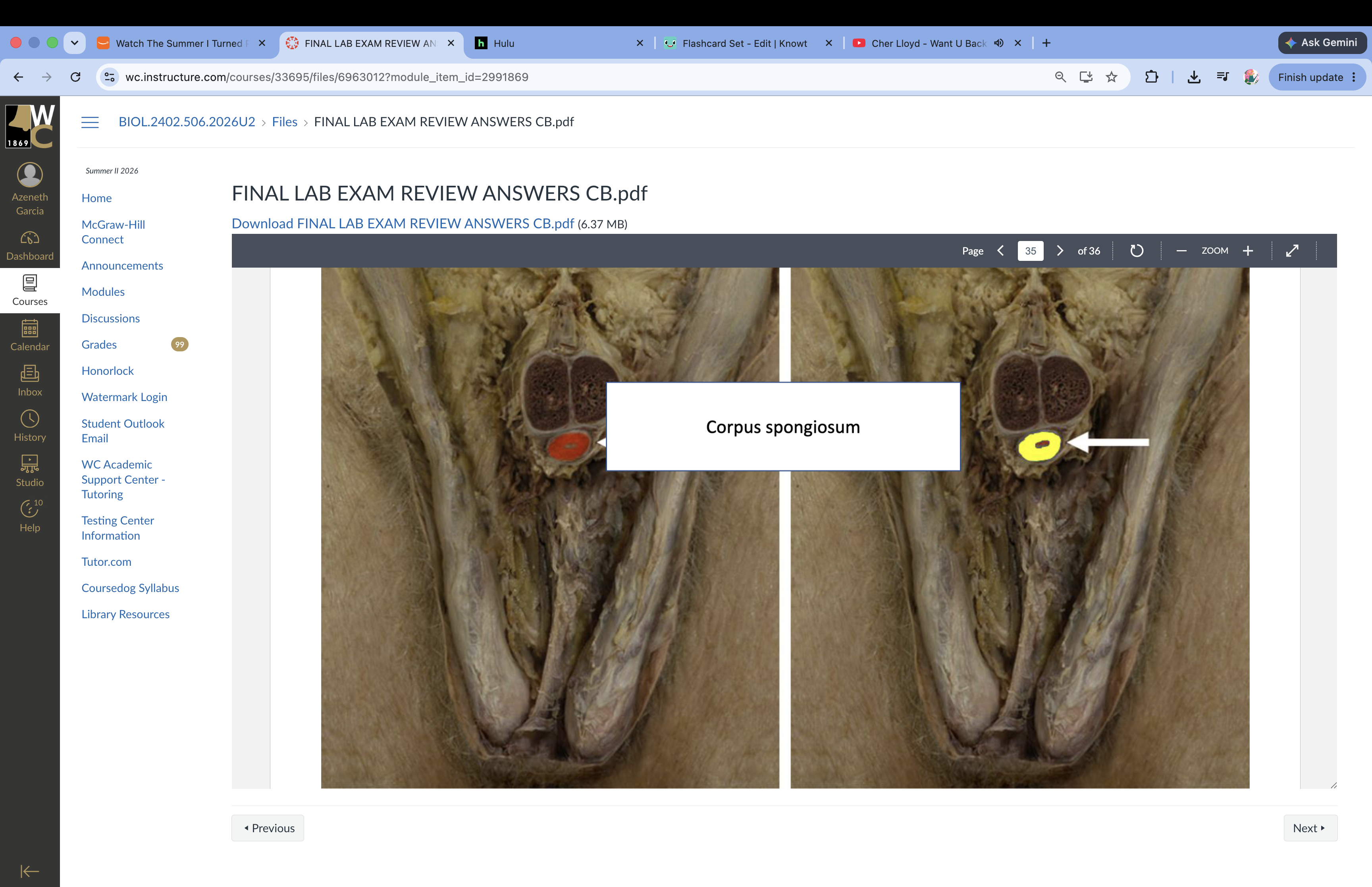 knowt flashcard image