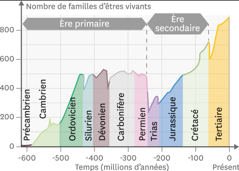 <p>Elle a connu des apparitions, des développements, des régressions et des disparitions de groupes.</p>