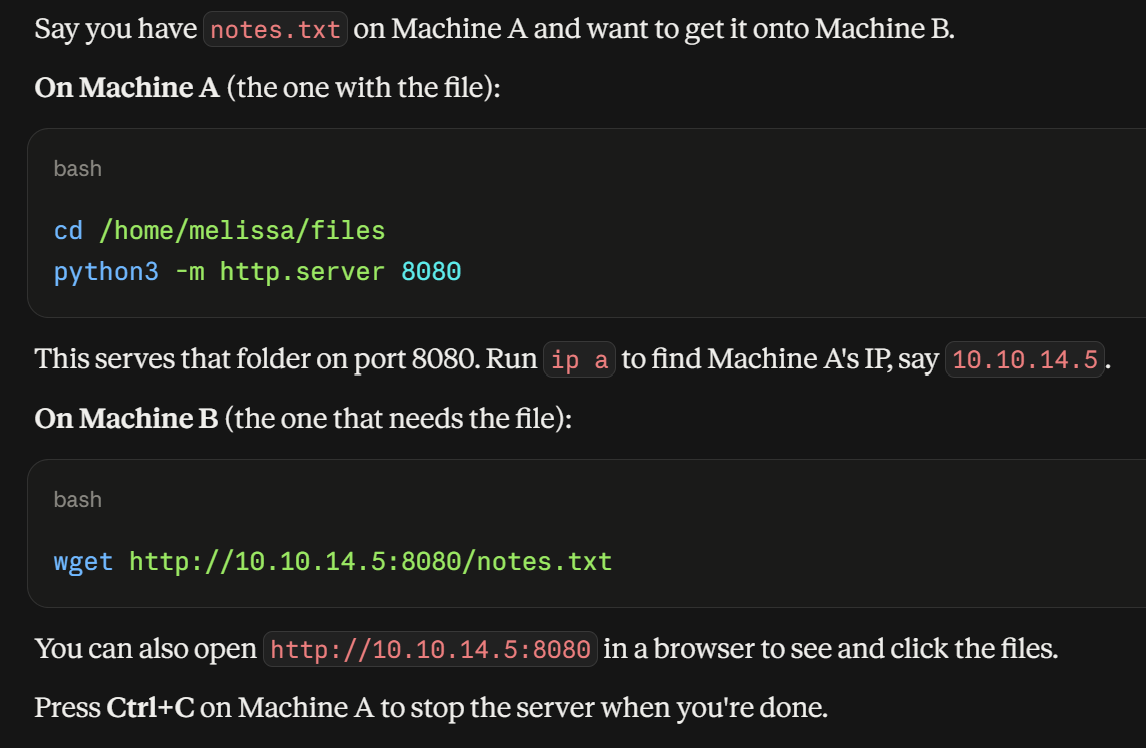 <p>python3 -m http.server</p>