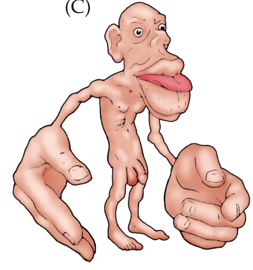 <p>What can you see here?</p>