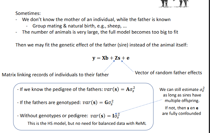 <p>Sometimes, we don’t know the mother of an individual, while the father is known (group mating and natural birth, sheep etc). The number of animals is very large, the full model becomes too big to fit</p><p>Then we may fit the genetic effect of the father (sire) instead of the animal itself</p>