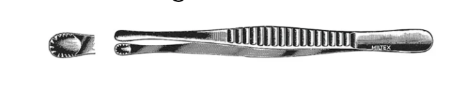 term image