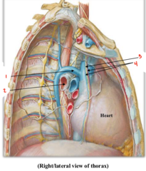 <p>What is labeled 3?</p>