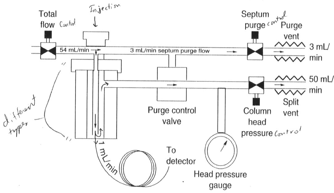 <p>After the sample is evaporated and mixed with the carrier gas, the sample splits into two unequal portions.</p><ul><li><p>The larger portion is “purged” (waste)</p></li><li><p>The smaller portion goes into the column</p></li></ul><p></p><p></p>