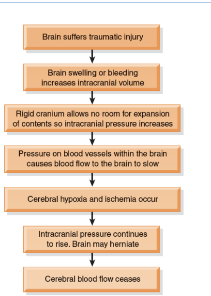 <ul><li><p>Primary injury: consequence of direct contact to head/brain during the instant of initial injury</p><ul><li><p>Contusions, lacerations, external hematomas, skull fractures, subdural hematomas, concussion, diffuse axonal</p></li></ul></li><li><p>Secondary injury: damage evolves over ensuing days and hours after the initial injury</p><ul><li><p>Caused by cerebral edema, ischemia, or chemical changes associated with the trauma</p></li></ul></li></ul><p></p>