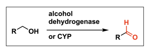 <p>takes an alcohol and turns it into an acteylaldehyde [h-=O]</p><p>cofactorS = alcohol dehydrogenase or CYP</p>