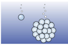 <p>Why multicellularity? (1/10)</p><p>Faster … (more physical survival advantage in fluid environments)</p>