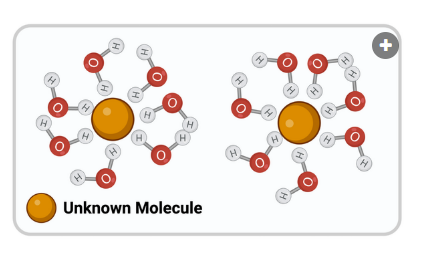 <p>The figure shows unknown molecules interacting with water molecules. The unknown molecules are represented by solid yellow circles.&nbsp;<br>Which chemical property most likely describes the unknown molecule?&nbsp;</p><p><br>a. negatively charged<br>b. positively charged<br>c. without a charge<br>d. hydrophobic<br>e. nonpolar</p>