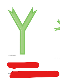 <p>Which antibody class is this?</p>