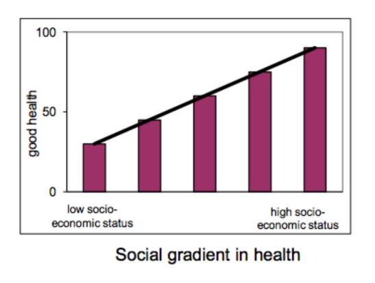<p>• Between countries, the poorest of the poor, around the</p><p>world, have the worst health.</p><p>• Within countries, the evidence shows that in general the</p><p>lower an individual’s socioeconomic position the worse their</p><p>health.</p><p>• There is a social gradient in health that runs from top to</p><p>bottom of the socioeconomic spectrum.</p><p>• This is a global phenomenon, seen in low, middle and high</p><p>income countries.</p><p>• The social gradient in health means that health inequities</p><p>affect everyone.</p>