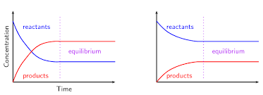 <p><span style="background-color: transparent; font-family: "Times New Roman", serif;">reversible processes, rate of the forward reaction=rate of reverse reaction</span></p>