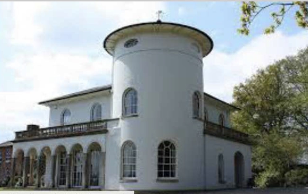 term image