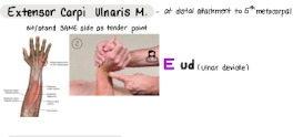 <p>E ud</p>