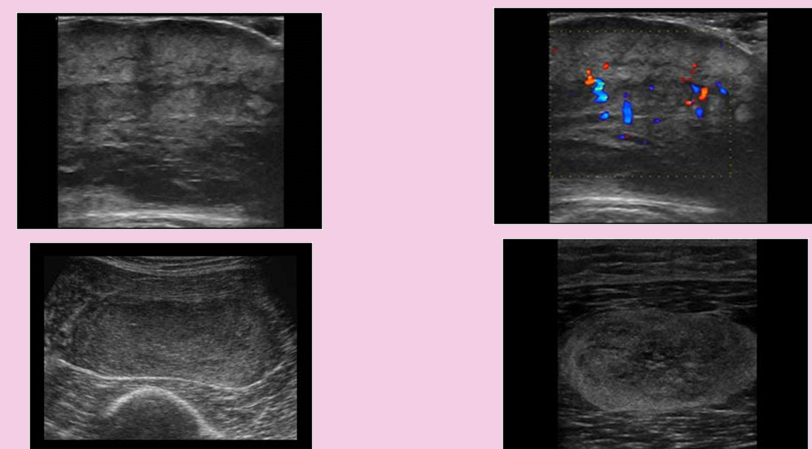 <p>what is this? </p>