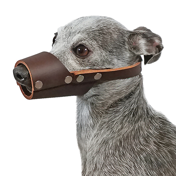 <p>leather muzzle </p>