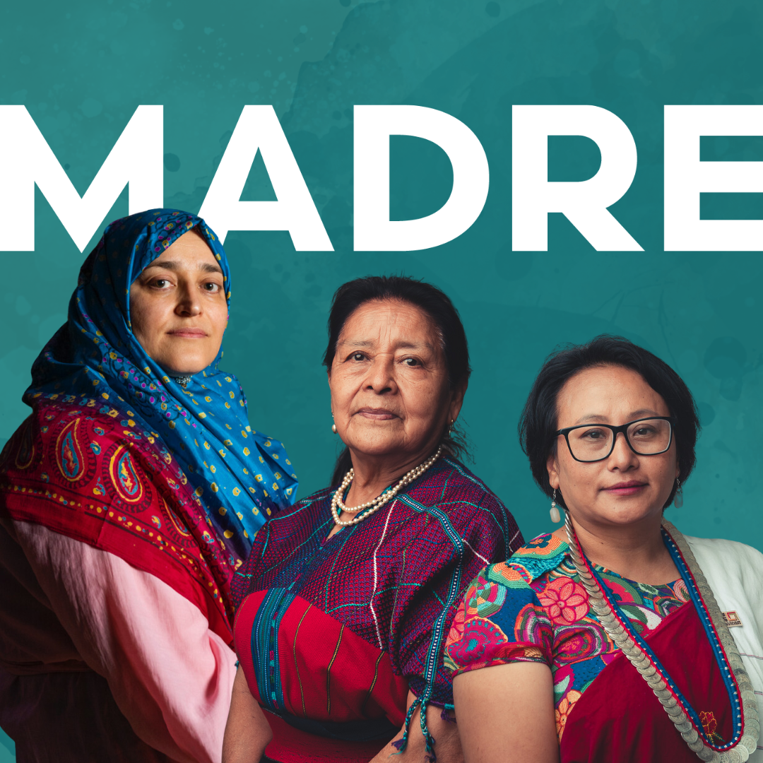 <p>la/una madre, la/una mamá</p>