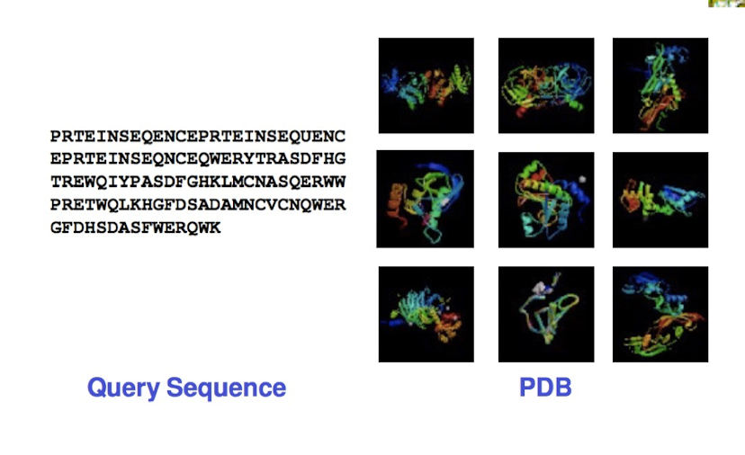 <ul><li><p>tools: BLAST, PSI-BLAST</p></li><li><p>databases: protein data bank (PDB)</p></li><li><p>selection criteria:</p><ul><li><p>sequence identity >30% for good results</p></li><li><p>structural resolution of template</p></li></ul></li></ul><p></p>