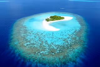 <ul><li><p>how easily affected a place is on the effects of climate change</p></li><li><p>judged by exposure to hazards, ability to adapt</p></li></ul><p>e.g. low-lying islands are highly vulnerable to rising sea levels</p><p></p>