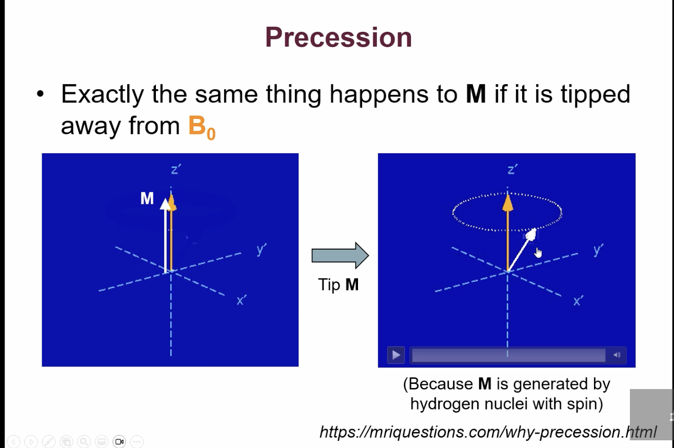 <ul><li><p>with the bulk magnetisation you align it with the main magnetic field to the MRI scanner, you then tip it slightly away because it has this property of angular momentum(to detect the MRI signal we need changing magnetic field so we tip the bulk magnetisation away) + it starts to precess around the main B0 field.</p></li></ul><p></p>