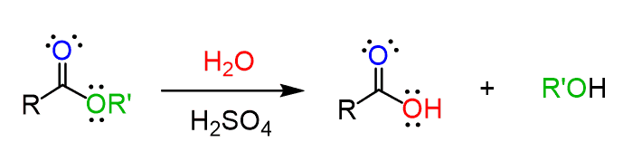 <p>Acid Catalyzed Hydrolysis of an Ester</p>