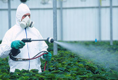 <p>Chemicals that kill organisms that attack or compete with valued organisms</p>