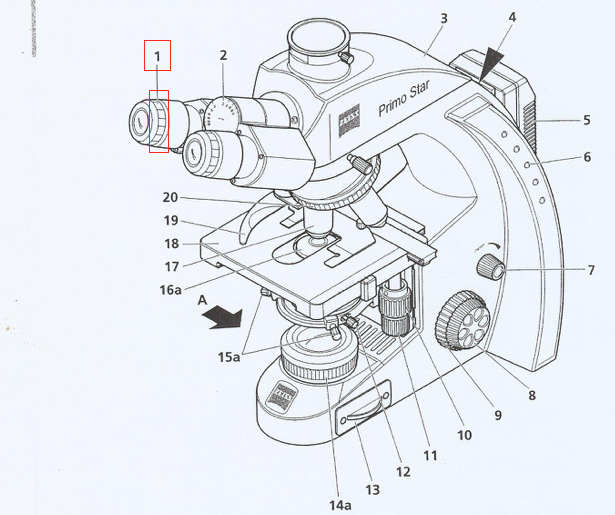<p>What part of the microscope is this + what does it control?</p>