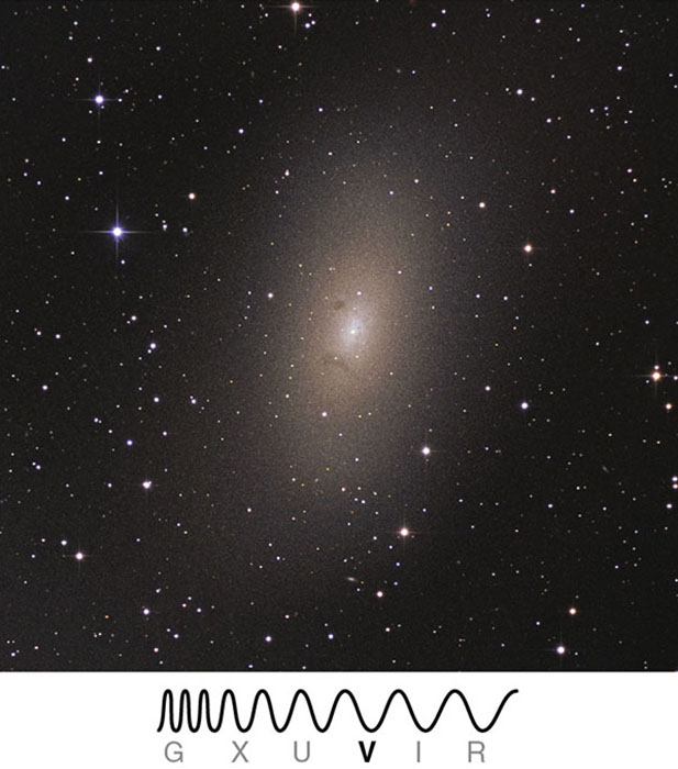 <p>Identify which type of galaxy is represented in the image</p>