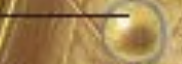 <p>what is this</p>