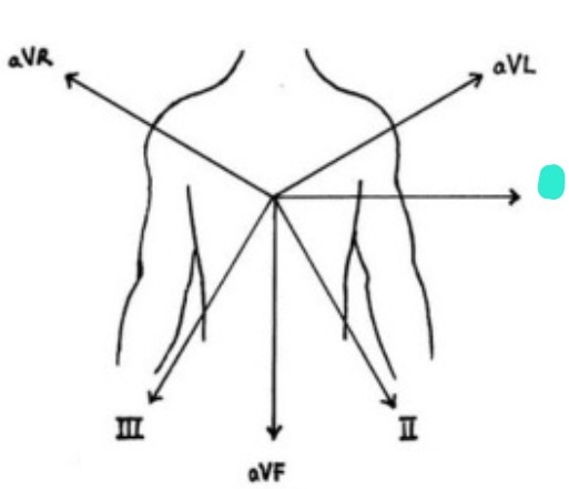<p>right arm &amp; left arm 흘러가는 전기적 흐름 보여줌</p>