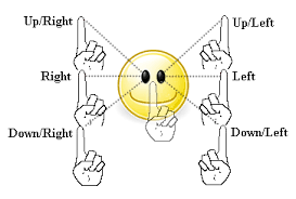 <p>Extra Occular Movements</p>