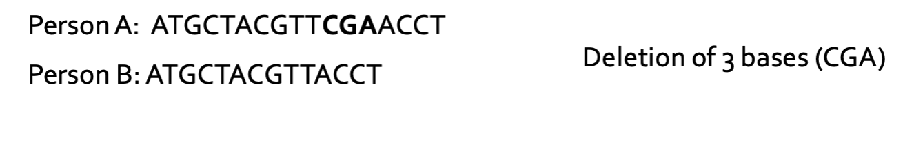 <ul><li><p>The addition (insertion) or removal (deletion) of one of more nucleotides in a DNA</p><p>sequence</p></li></ul><p></p>
