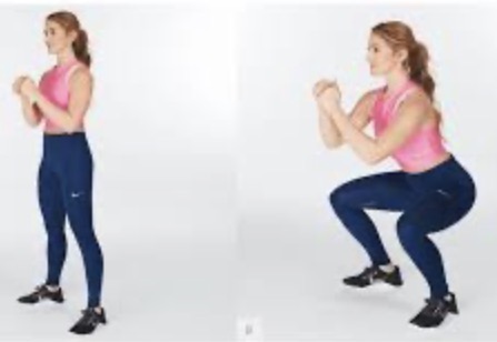 <p>Body weight squat target muscle</p>