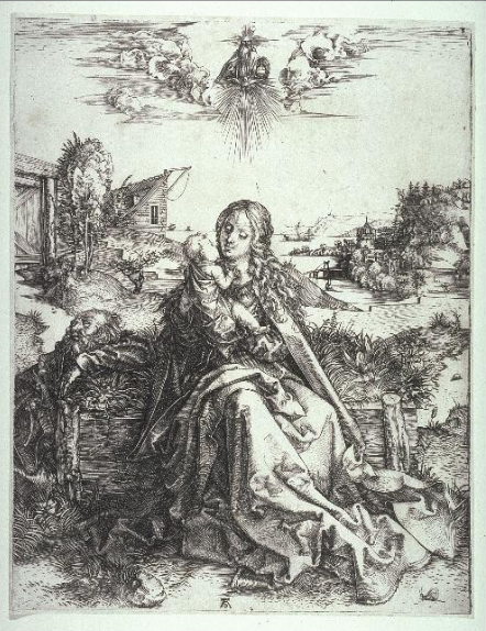 term image