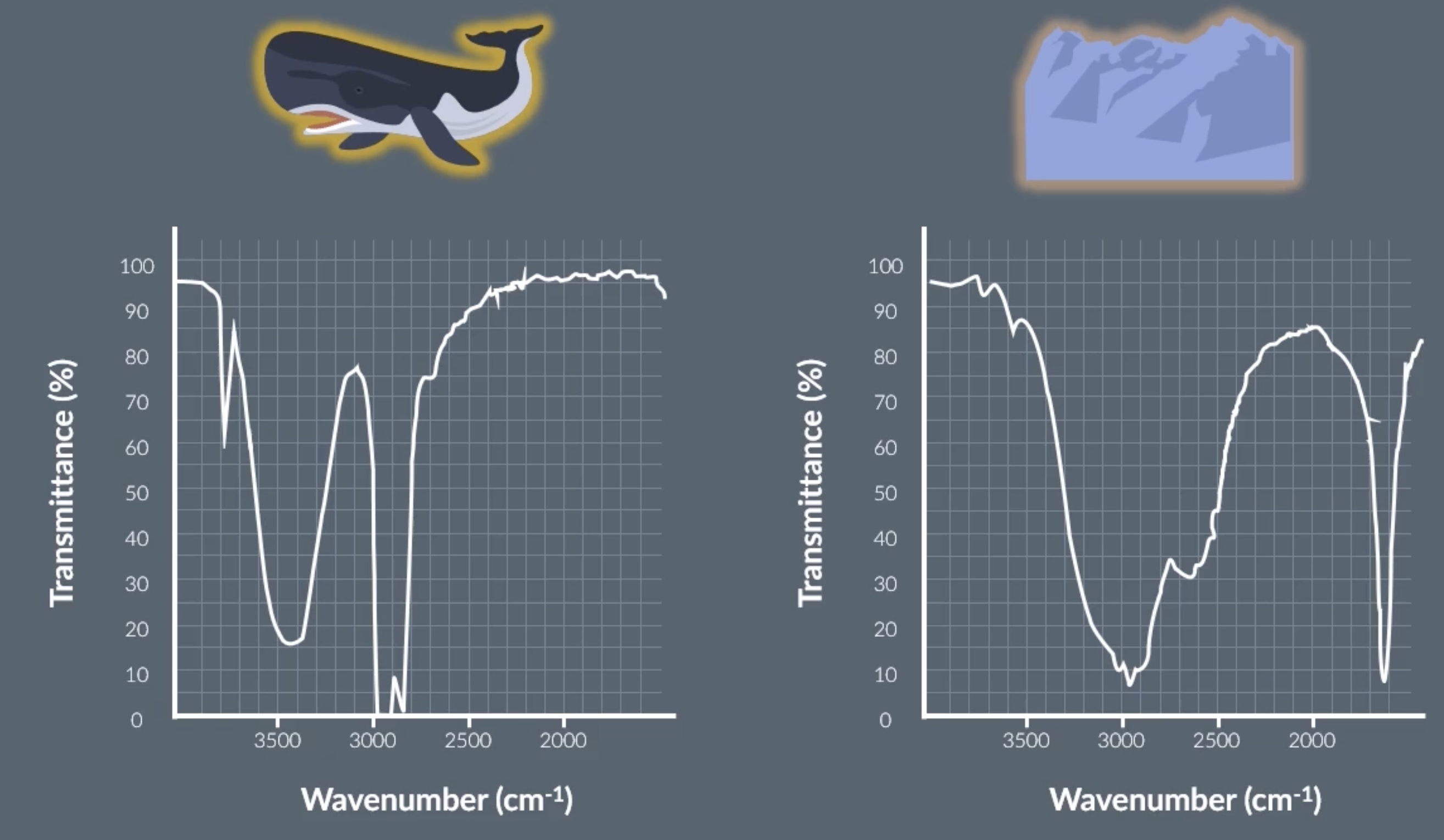 <p>the alcohol one is more smooth, sharper and narrower at around 3230 - 3550</p><p>the carboxylic acid one is more jagged, rough and more broad at around 2500 - 3000</p>