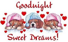 <p>Good evening, good night</p>