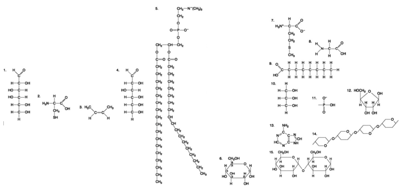 <p><span>The following question is based on the 15 molecules illustrated in the figures.</span><br>Which molecule is a saturated fatty acid?</p><p> </p><p>9</p><p> </p><p>8</p><p> </p><p>5</p><p> </p><p>1</p>