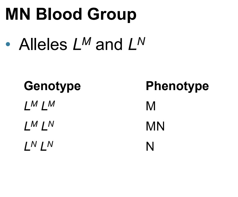<ul><li><p>Codominance</p></li></ul><p></p>