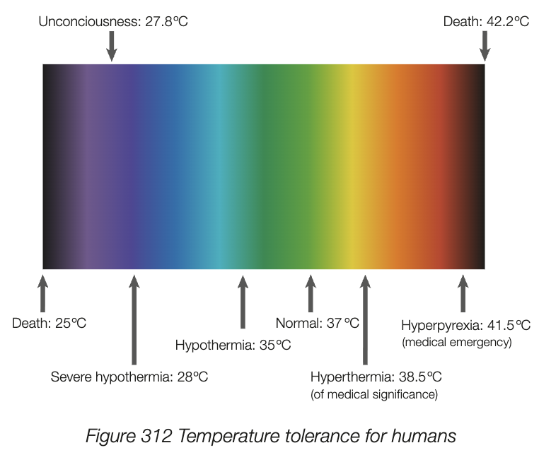 <ul><li><p>mammals body temp is 36-38C</p></li><li><p>enzymes work best around 37C and are responsible for all cell’s metabolic activity</p></li><li><p>internal temp rises much above 40C → hyperthermia</p></li><li><p>internal temp drops few degrees below 37C → hypothermia</p></li></ul><p></p>