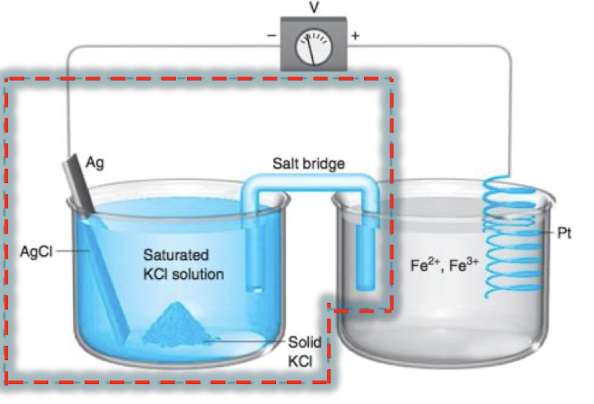 <p>which is the anode?</p>