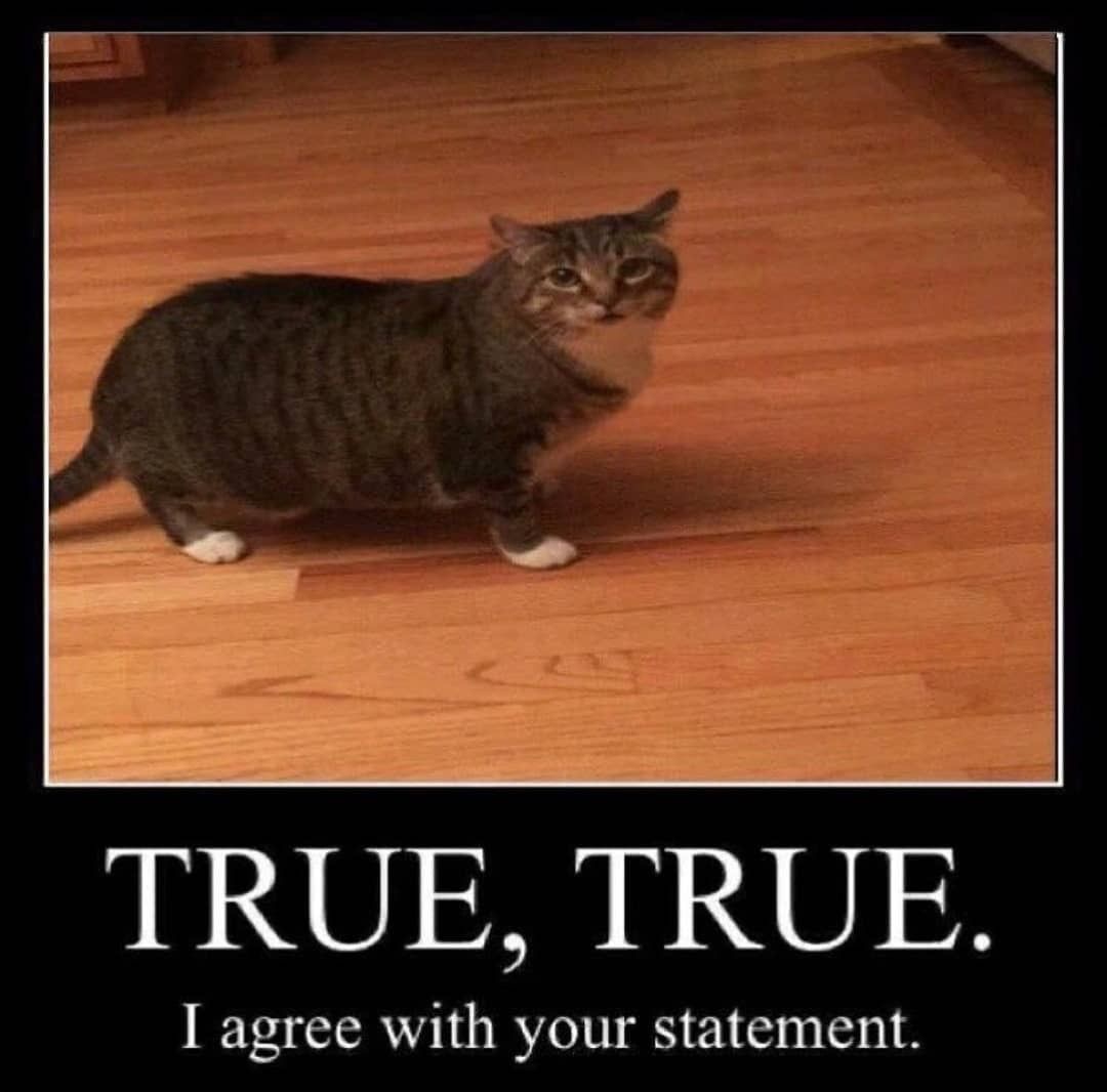 <p>agree</p>