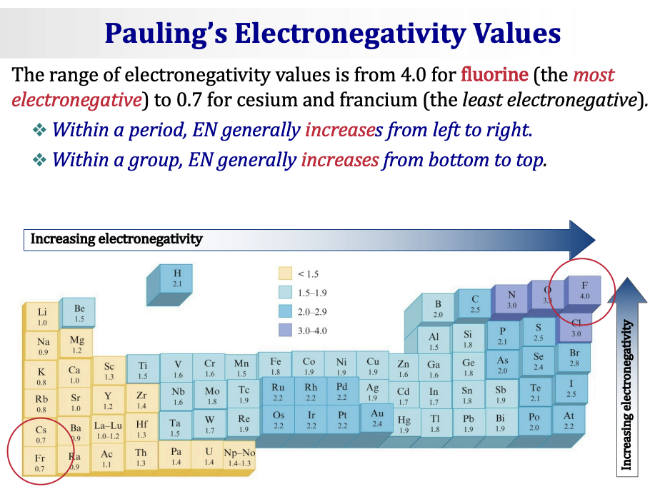 <ul><li><p><span>Atoms of the elements in the <strong>upper right of the periodic table</strong> — relatively small nonmetal atoms — attract bonding electrons most strongly: <em>They have the greatest electronegativities.</em></span></p></li><li><p><span>Atoms of the elements towards the <strong>lower left of the table</strong> — relatively large metal atoms — have a weaker hold on electrons: <em>They have the smallest electronegativities.</em></span></p></li><li><p><span><strong>Electronegativities of the noble (inert) gases are zero.</strong> Why? Noble gases don't typically form bonds, so EN is not defined/meaningful for them.</span></p></li></ul><p>&nbsp;</p><p>Key EN values to know (Pauling scale):</p><p>&nbsp;</p><table style="min-width: 50px;"><colgroup><col style="min-width: 25px;"><col style="min-width: 25px;"></colgroup><tbody><tr><td colspan="1" rowspan="1" style="border-width: 0pt; vertical-align: top; width: 1.0159in; padding: 4pt;"><p><span><strong>Element</strong></span></p></td><td colspan="1" rowspan="1" style="border-width: 0pt; vertical-align: top; width: 0.5548in; padding: 4pt;"><p><span><strong>EN</strong></span></p></td></tr><tr><td colspan="1" rowspan="1" style="border-width: 0pt; vertical-align: top; width: 1.0159in; padding: 4pt;"><p>F (fluorine)</p></td><td colspan="1" rowspan="1" style="border-width: 0pt; vertical-align: top; width: 0.5548in; padding: 4pt;"><p>4.0</p></td></tr><tr><td colspan="1" rowspan="1" style="border-width: 0pt; vertical-align: top; width: 1.0159in; padding: 4pt;"><p>O (oxygen)</p></td><td colspan="1" rowspan="1" style="border-width: 0pt; vertical-align: top; width: 0.5548in; padding: 4pt;"><p>3.5</p></td></tr><tr><td colspan="1" rowspan="1" style="border-width: 0pt; vertical-align: top; width: 1.0159in; padding: 4pt;"><p>N (nitrogen)</p></td><td colspan="1" rowspan="1" style="border-width: 0pt; vertical-align: top; width: 0.5548in; padding: 4pt;"><p>3.0</p></td></tr><tr><td colspan="1" rowspan="1" style="border-width: 0pt; vertical-align: top; width: 1.0159in; padding: 4pt;"><p>Cl (chlorine)</p></td><td colspan="1" rowspan="1" style="border-width: 0pt; vertical-align: top; width: 0.5548in; padding: 4pt;"><p>3.0</p></td></tr><tr><td colspan="1" rowspan="1" style="border-width: 0pt; vertical-align: top; width: 1.0298in; padding: 4pt;"><p>Br (bromine)</p></td><td colspan="1" rowspan="1" style="border-width: 0pt; vertical-align: top; width: 0.5409in; padding: 4pt;"><p>2.8</p></td></tr><tr><td colspan="1" rowspan="1" style="border-width: 0pt; vertical-align: top; width: 1.0159in; padding: 4pt;"><p>C (carbon)</p></td><td colspan="1" rowspan="1" style="border-width: 0pt; vertical-align: top; width: 0.5548in; padding: 4pt;"><p>2.5</p></td></tr><tr><td colspan="1" rowspan="1" style="border-width: 0pt; vertical-align: top; width: 1.0159in; padding: 4pt;"><p>S (sulfur)</p></td><td colspan="1" rowspan="1" style="border-width: 0pt; vertical-align: top; width: 0.5548in; padding: 4pt;"><p>2.5</p></td></tr><tr><td colspan="1" rowspan="1" style="border-width: 0pt; vertical-align: top; width: 1.0354in; padding: 4pt;"><p>H (hydrogen)</p></td><td colspan="1" rowspan="1" style="border-width: 0pt; vertical-align: top; width: 0.5354in; padding: 4pt;"><p>2.1</p></td></tr><tr><td colspan="1" rowspan="1" style="border-width: 0pt; vertical-align: top; width: 1.0159in; padding: 4pt;"><p>Cs / Fr</p></td><td colspan="1" rowspan="1" style="border-width: 0pt; vertical-align: top; width: 0.5548in; padding: 4pt;"><p>0.7</p></td></tr></tbody></table><p></p>