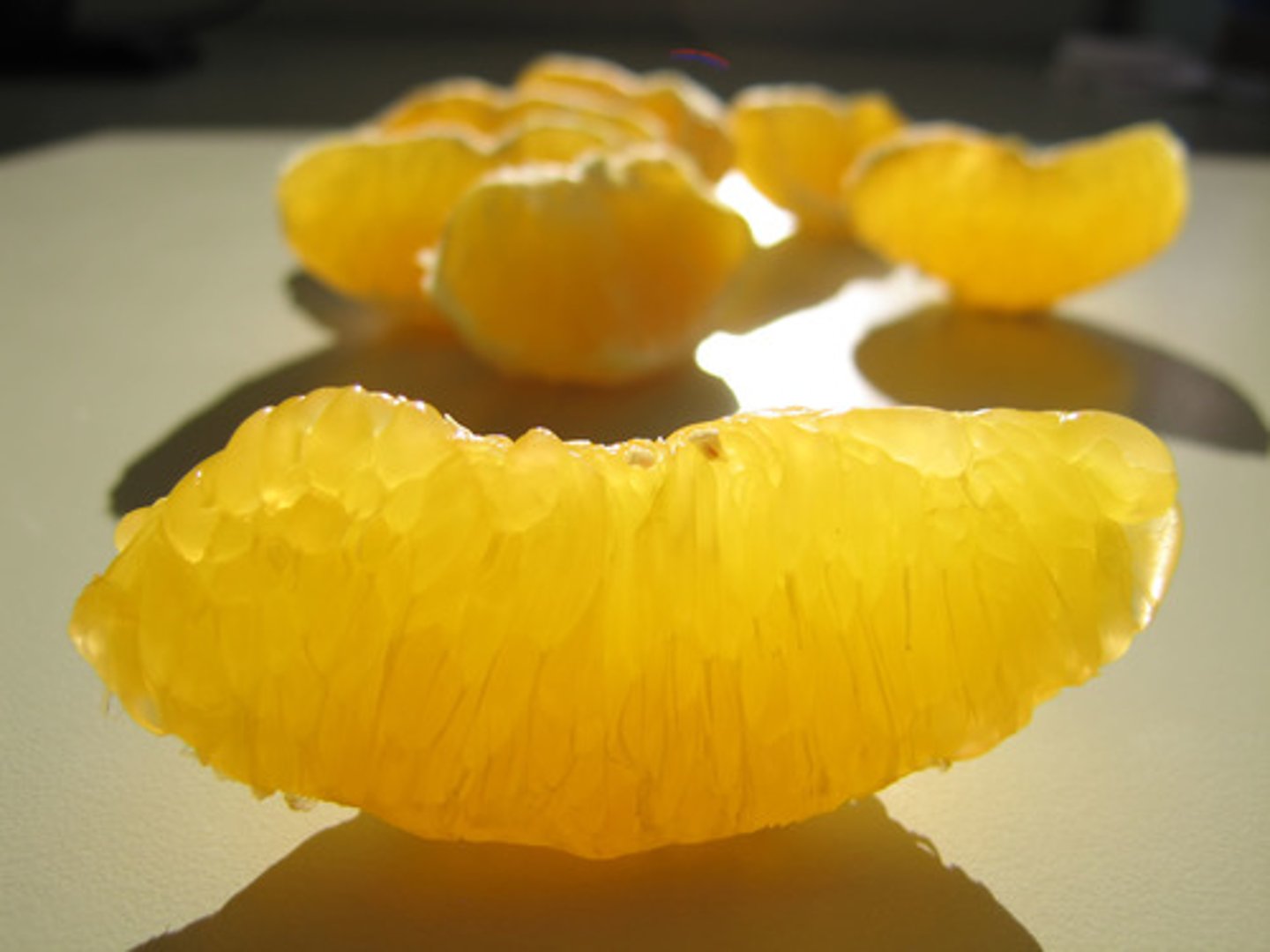<p>section of fruit</p>