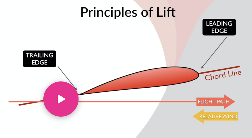 <p>Resultant force</p>